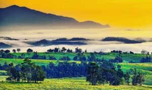 Northern Experience Eco Tour ex Cairns