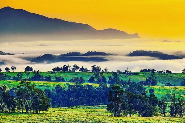 Northern Experience Eco Tour ex Cairns