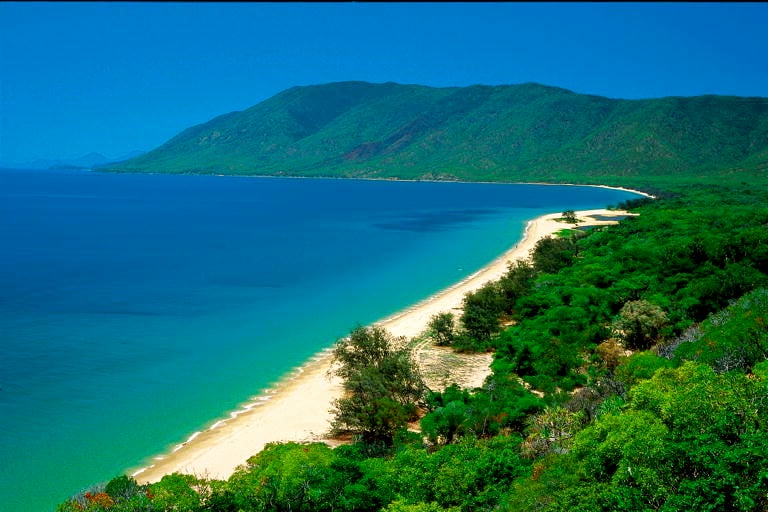 Premium Daintree & Cape Tribulation Day Tour